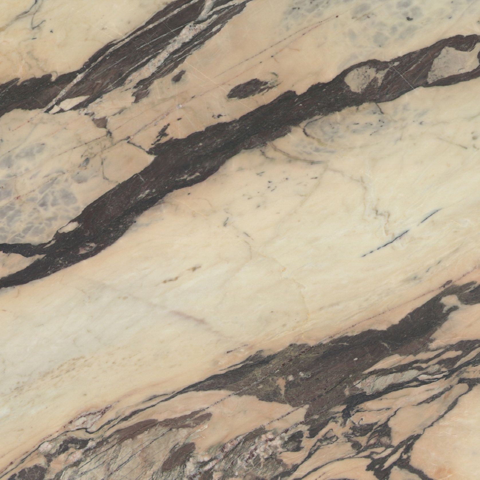 Arabescato Rosa | Marble gallery detail image