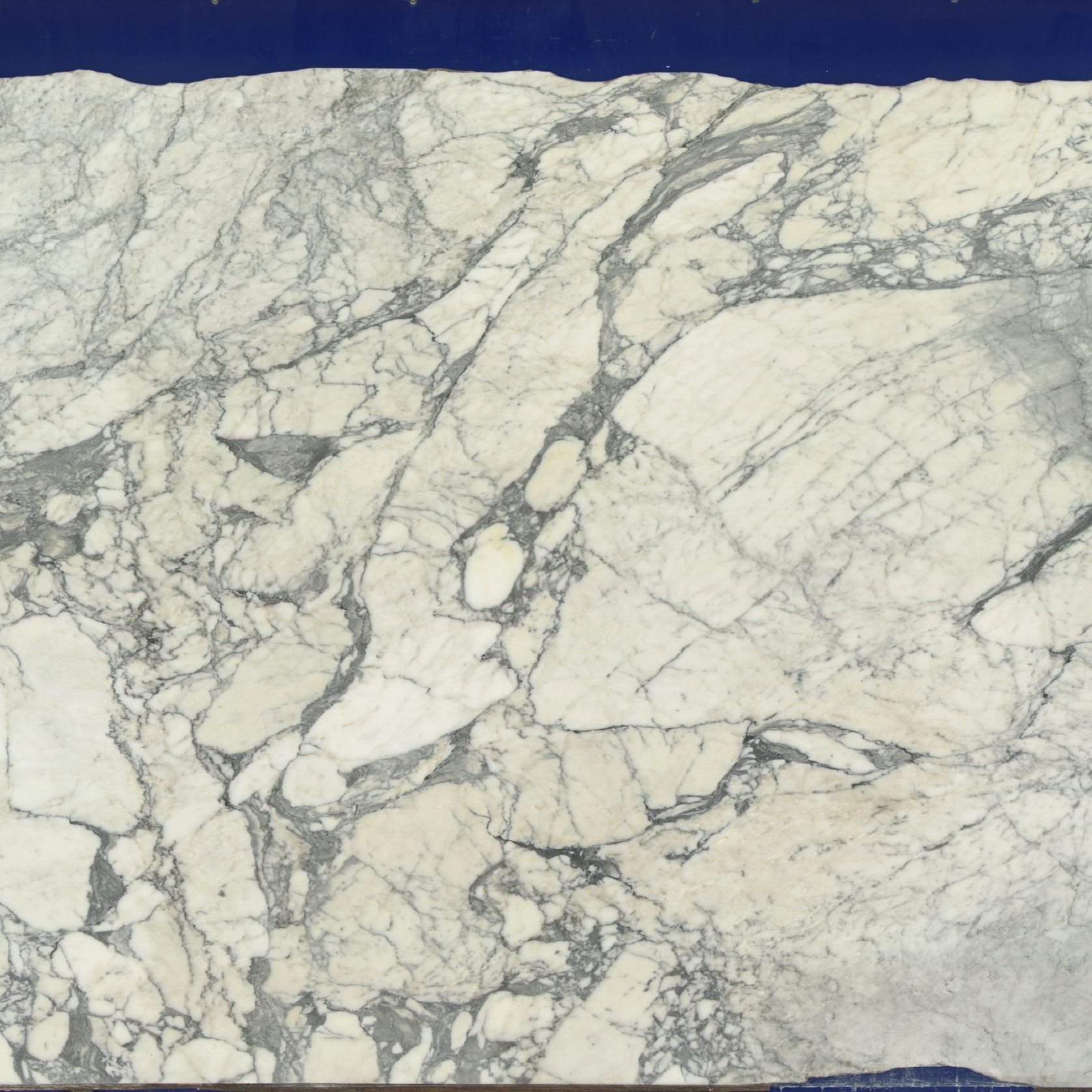 Arabescato Corchia | Marble gallery detail image