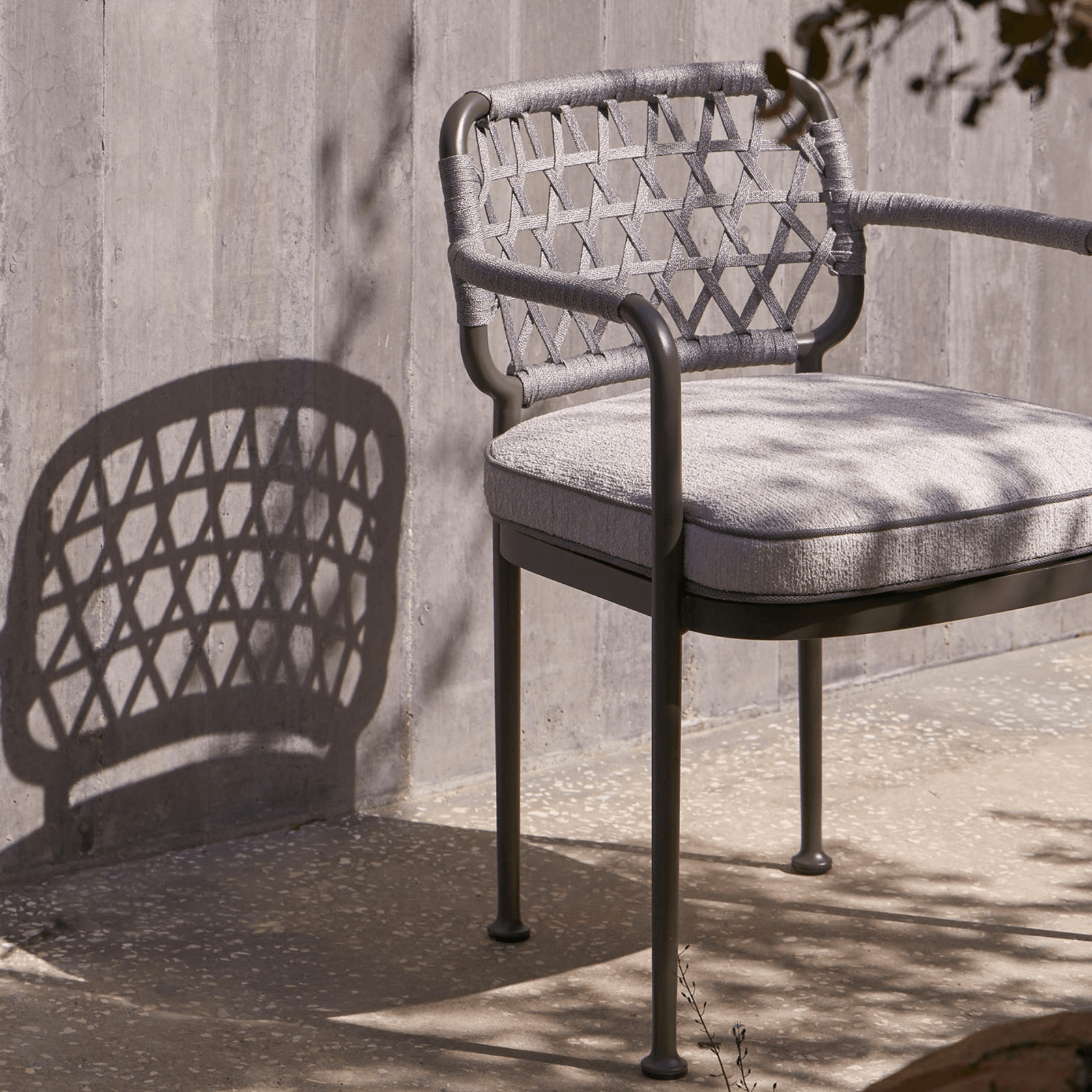 Curio Dining Chair gallery detail image