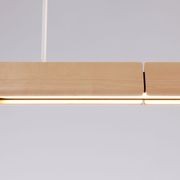 Array Pendant | Spotted Gum gallery detail image