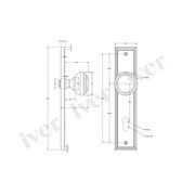 Iver Paddington Door Lever Handle gallery detail image