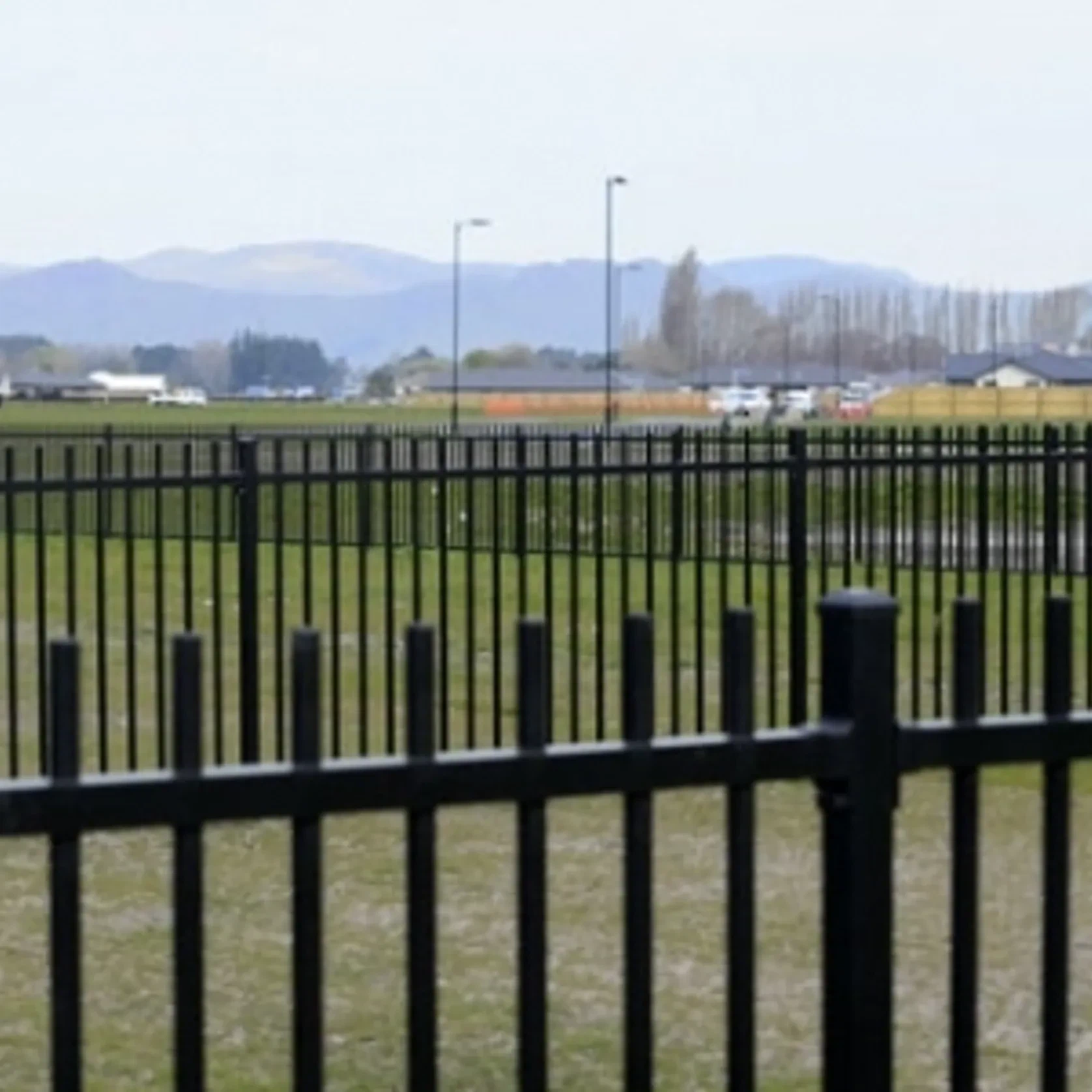 Balmain - School Fence gallery detail image