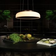 Chet-B,  Pendant Light gallery detail image
