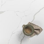 Calacutta Roma | Quantum Zero | Designer gallery detail image