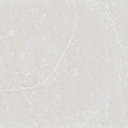Desert Silver gallery detail image