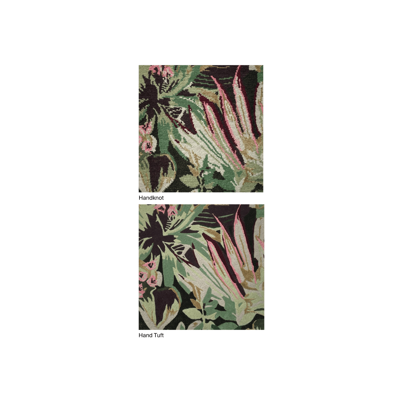 Cordyline gallery detail image