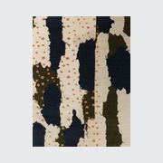 Scout gallery detail image