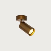 Evanston Adjustable Ceiling Light gallery detail image