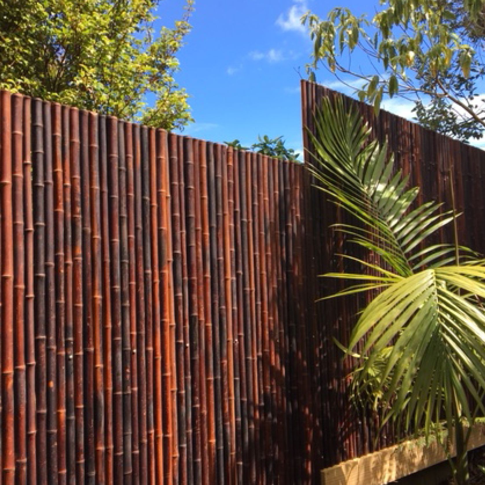 Bamboo Fencing Panels gallery detail image