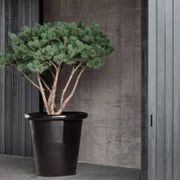 London Planter gallery detail image