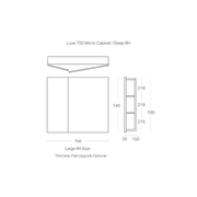 Luxe 750mm Mirror Cabinet | 2 Door gallery detail image