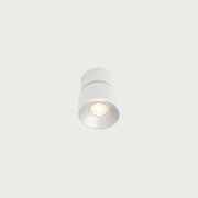 Pitcher Single Downlight gallery detail image