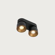Pitcher 2-Spot Downlight gallery detail image
