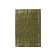 Avery Rug - Grass 300cm x 400cm gallery detail image