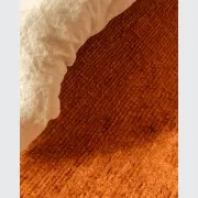 Rico Rug - Paprika 250cm x 350cm gallery detail image