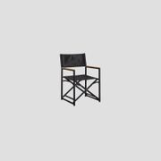Remuera Directors Chair gallery detail image