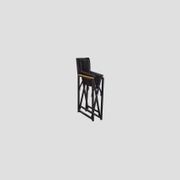 Remuera Directors Chair gallery detail image