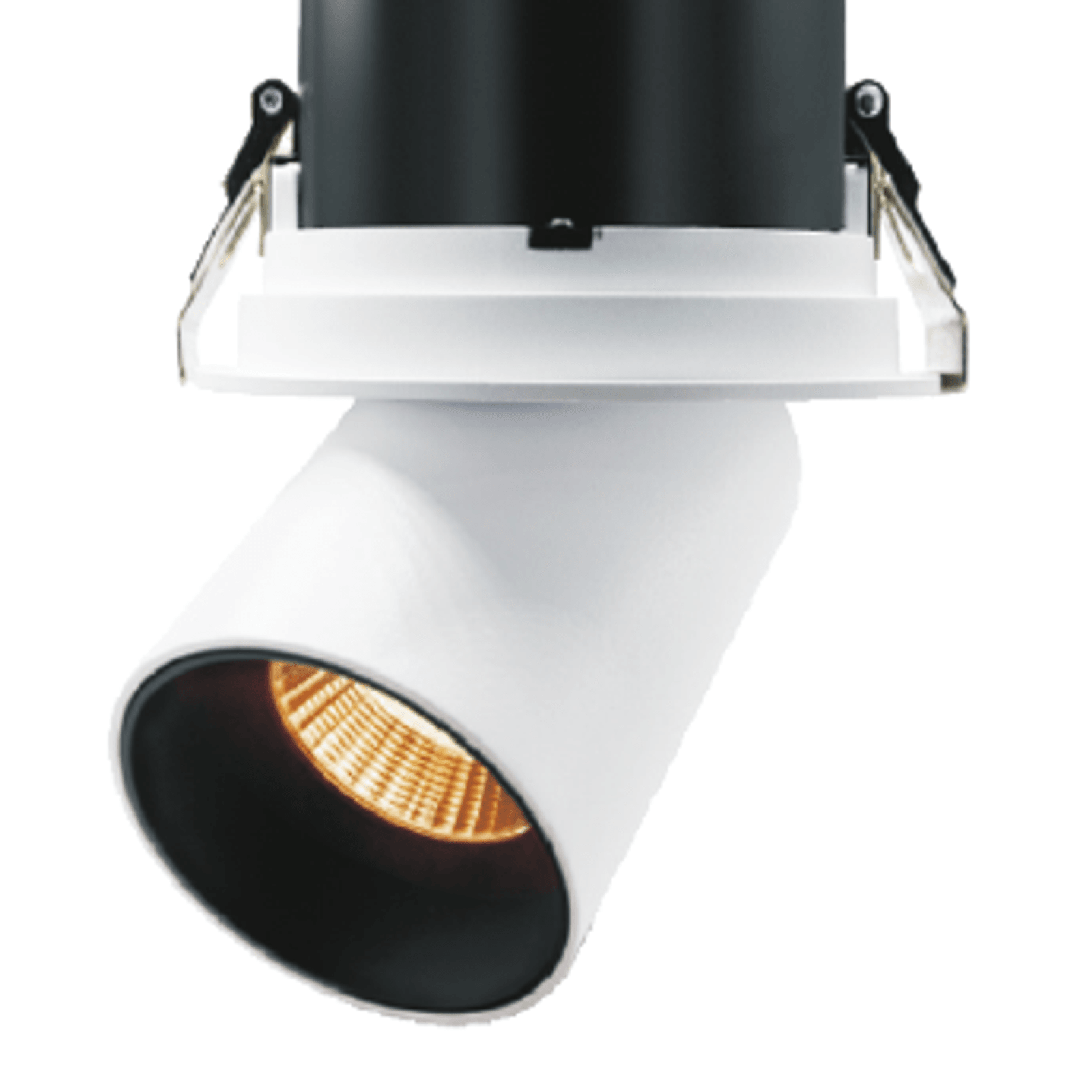 Round Snoot Downlight 12W gallery detail image