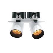 Twin Round Snoot Downlight 12W gallery detail image