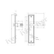 Iver Annecy Door Lever on Stepped Backplate Brushed Brass - Customise to your needs gallery detail image
