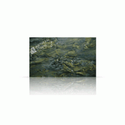 Verde Fusion gallery detail image