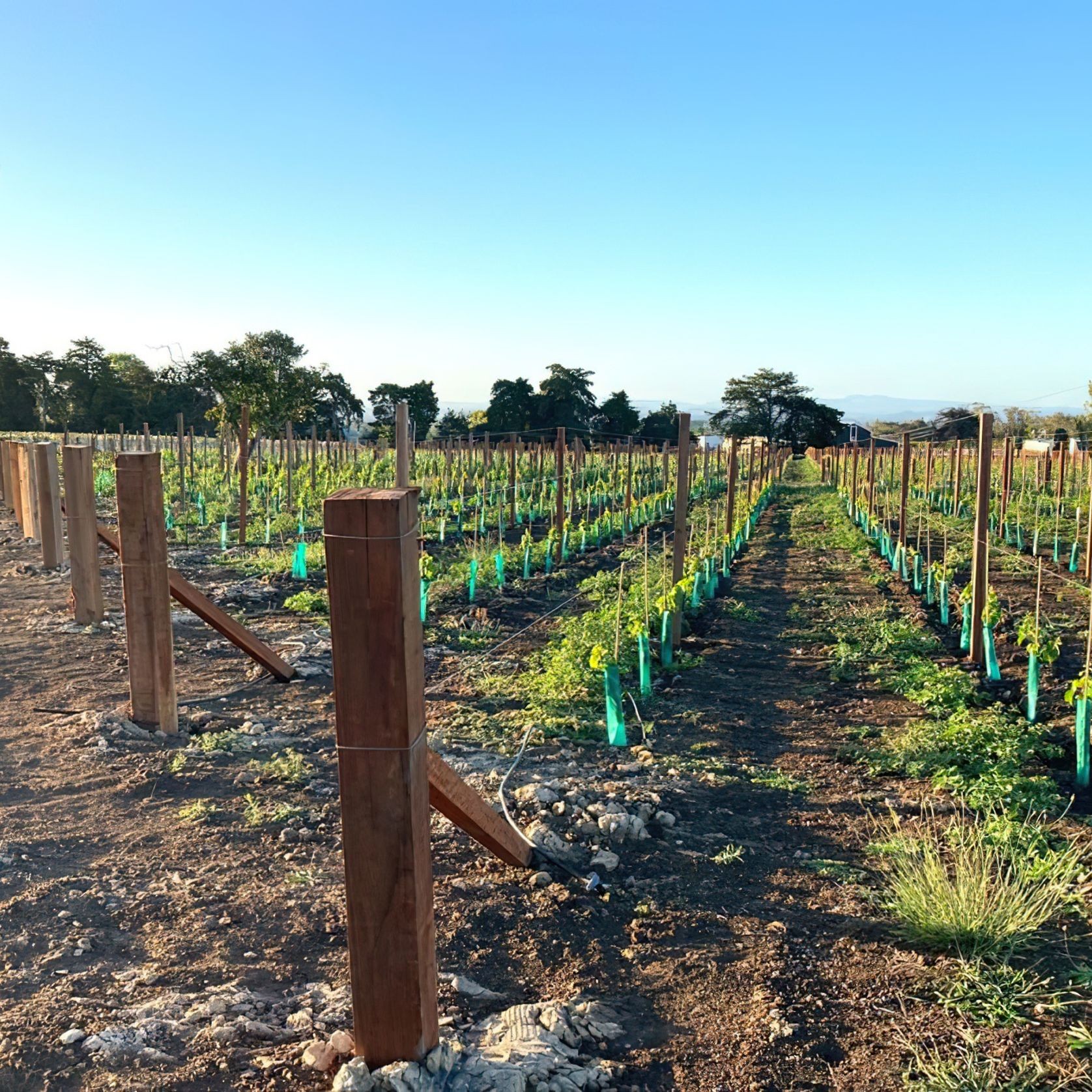 Vineyard Hardwood gallery detail image