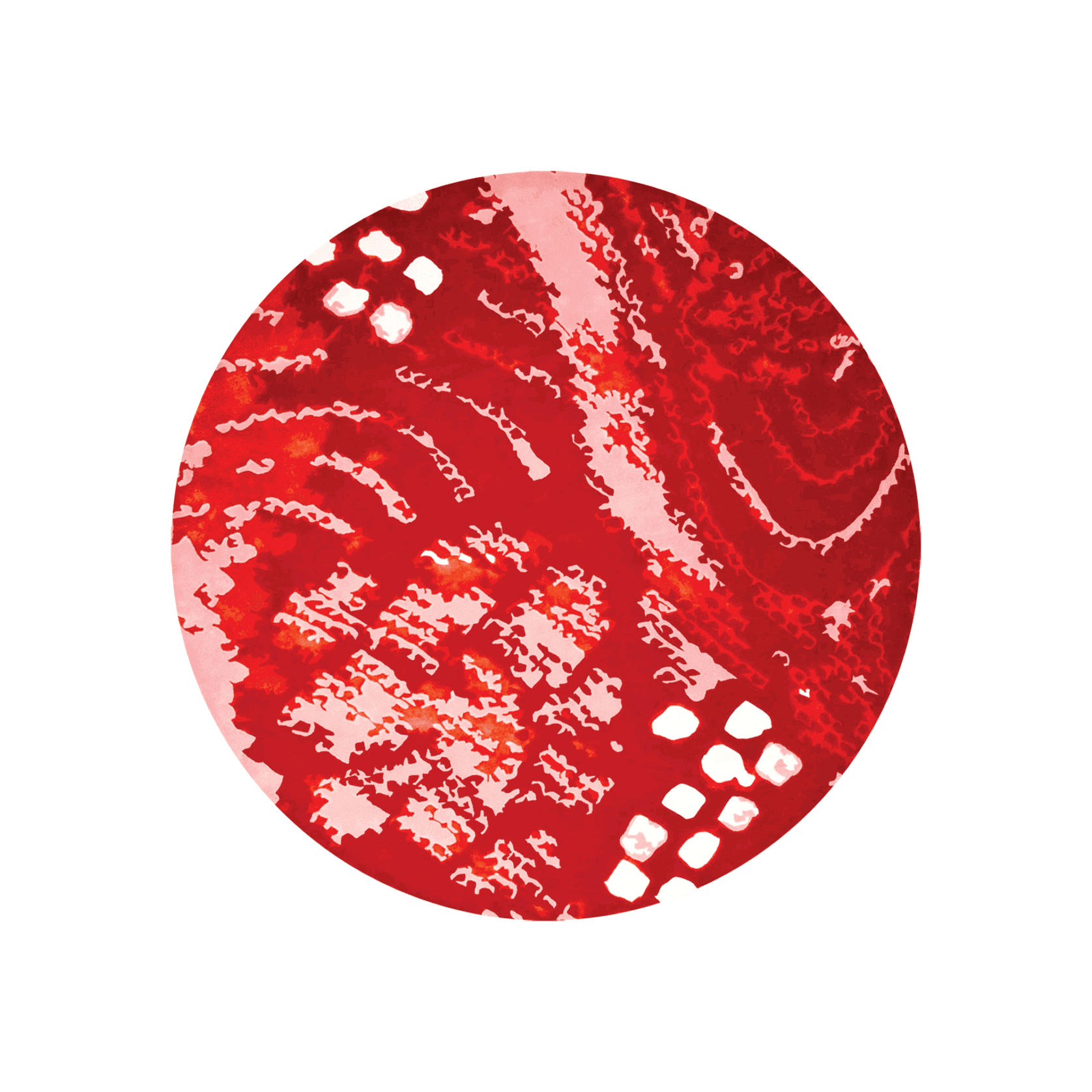 Shibori Round by  Akira Isogawa gallery detail image