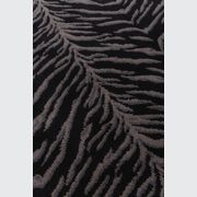 Tigre gallery detail image