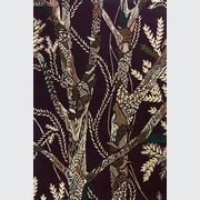 Changing Seasons gallery detail image