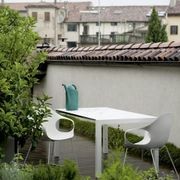 Elephant Slide Dining Chair gallery detail image