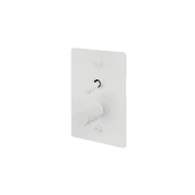 Buster + Punch 2G Toggle+Dimmer Vertical Linear gallery detail image