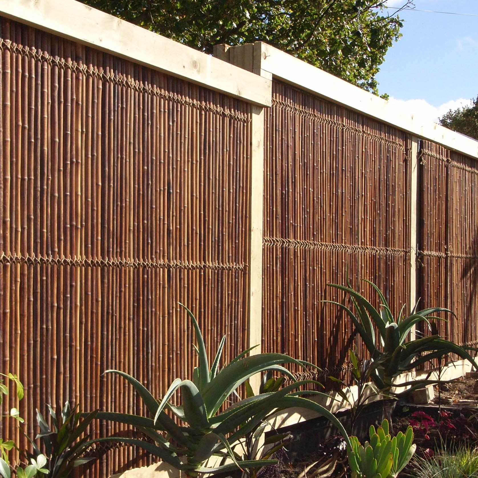Bamboo Fencing Panels gallery detail image