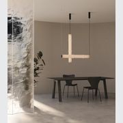 Canna Pendant Light gallery detail image