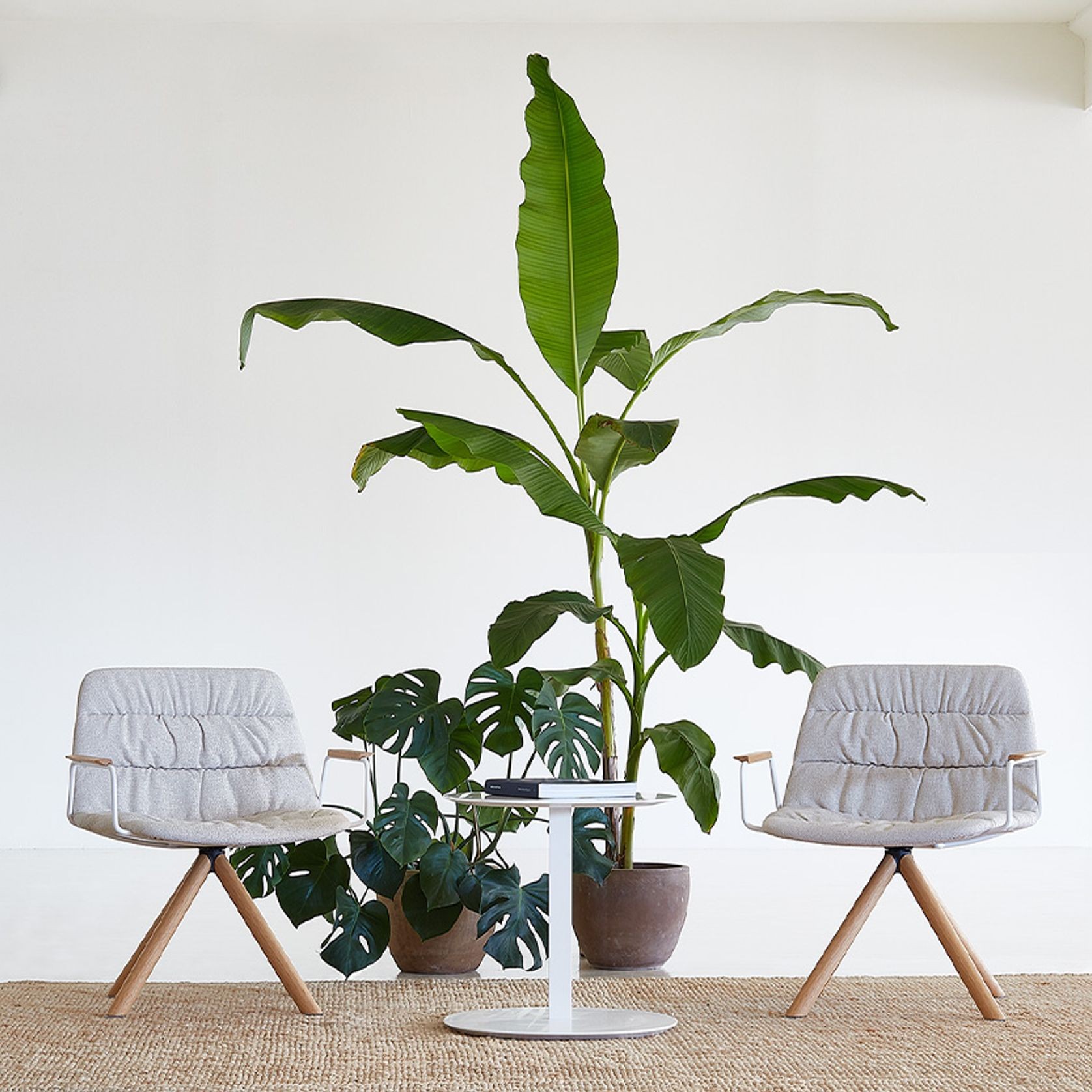 Maarten Lounge Chair - Wooden Swivel Base & Soft Upholstery gallery detail image