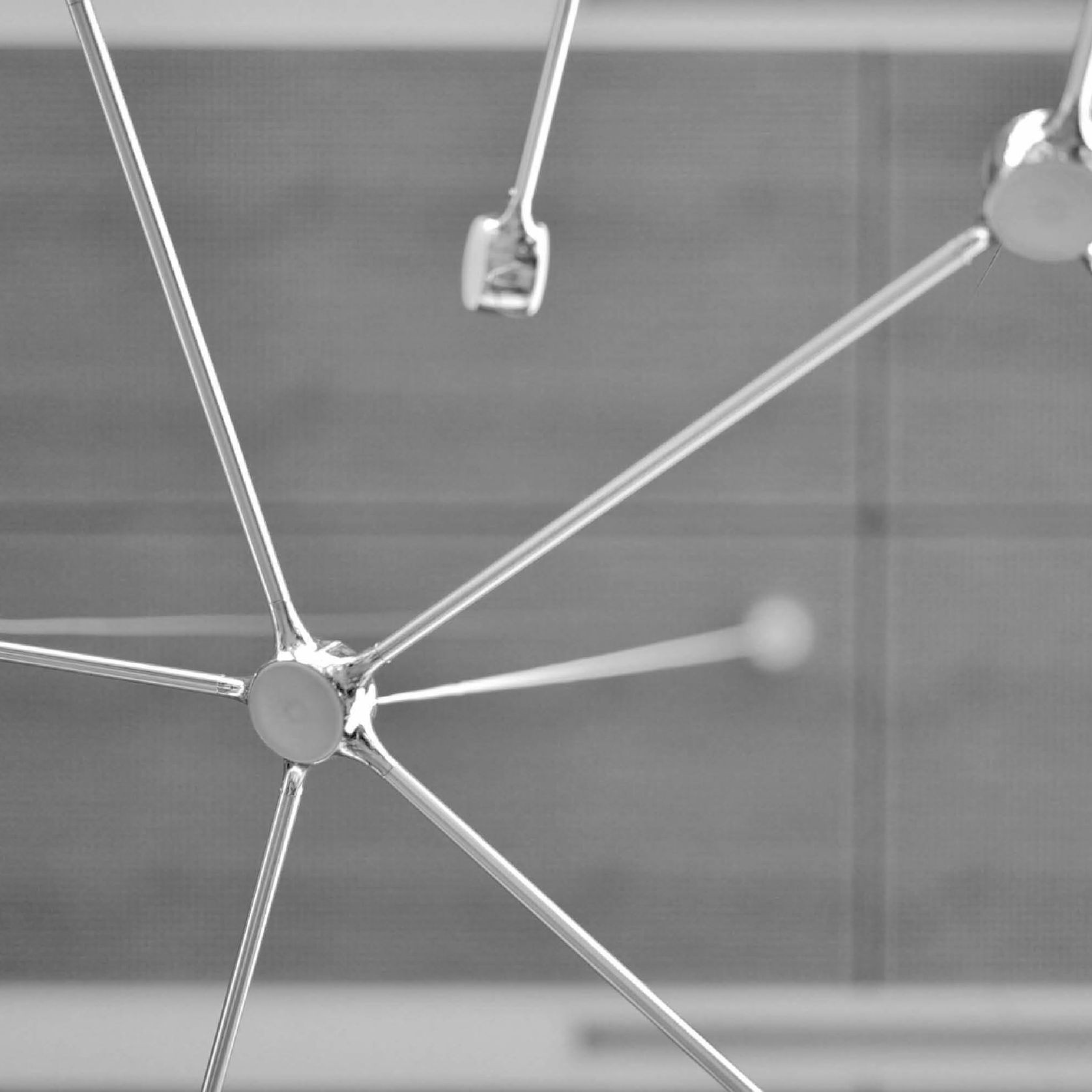 Ramus gallery detail image