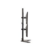 Professional Series™ Freestanding Dual Stacking Monitor gallery detail image