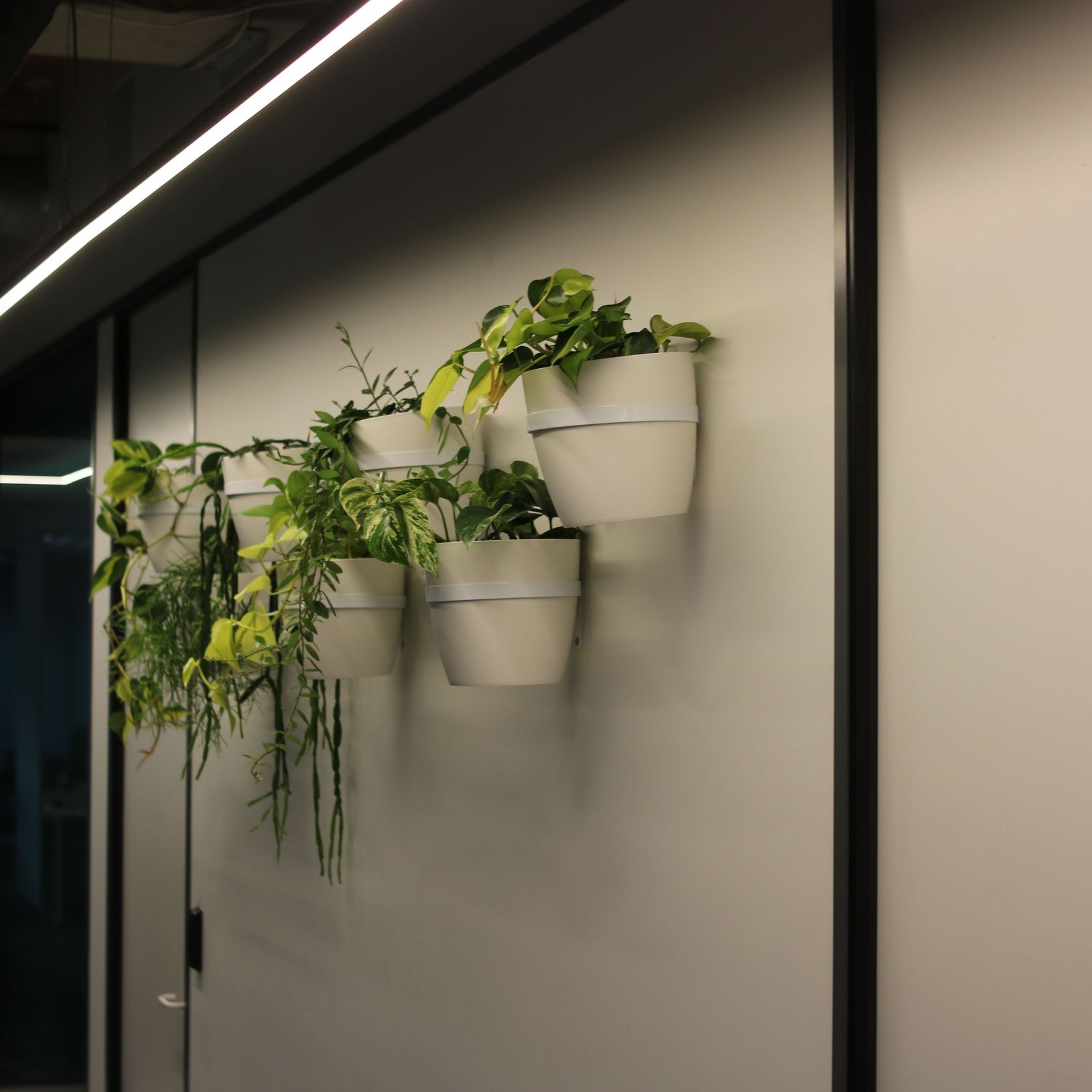 Plant Brackets | Hire Plants gallery detail image