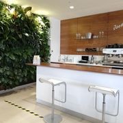 Vertical Green Walls | Hire Plants gallery detail image