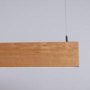 Tassie Flat Pendant gallery detail image