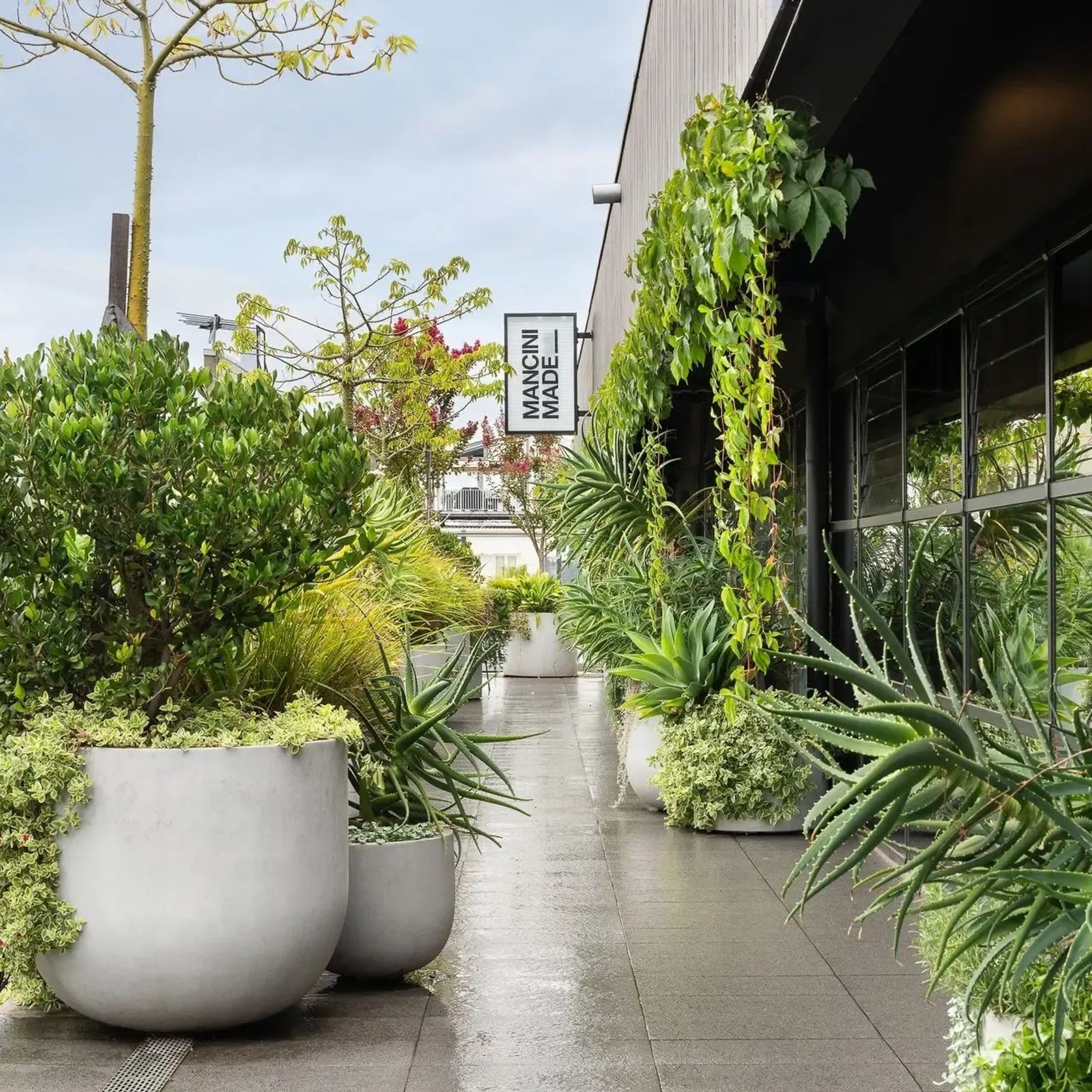 Urbis | Glass Fiber Reinforced Concrete Planters gallery detail image