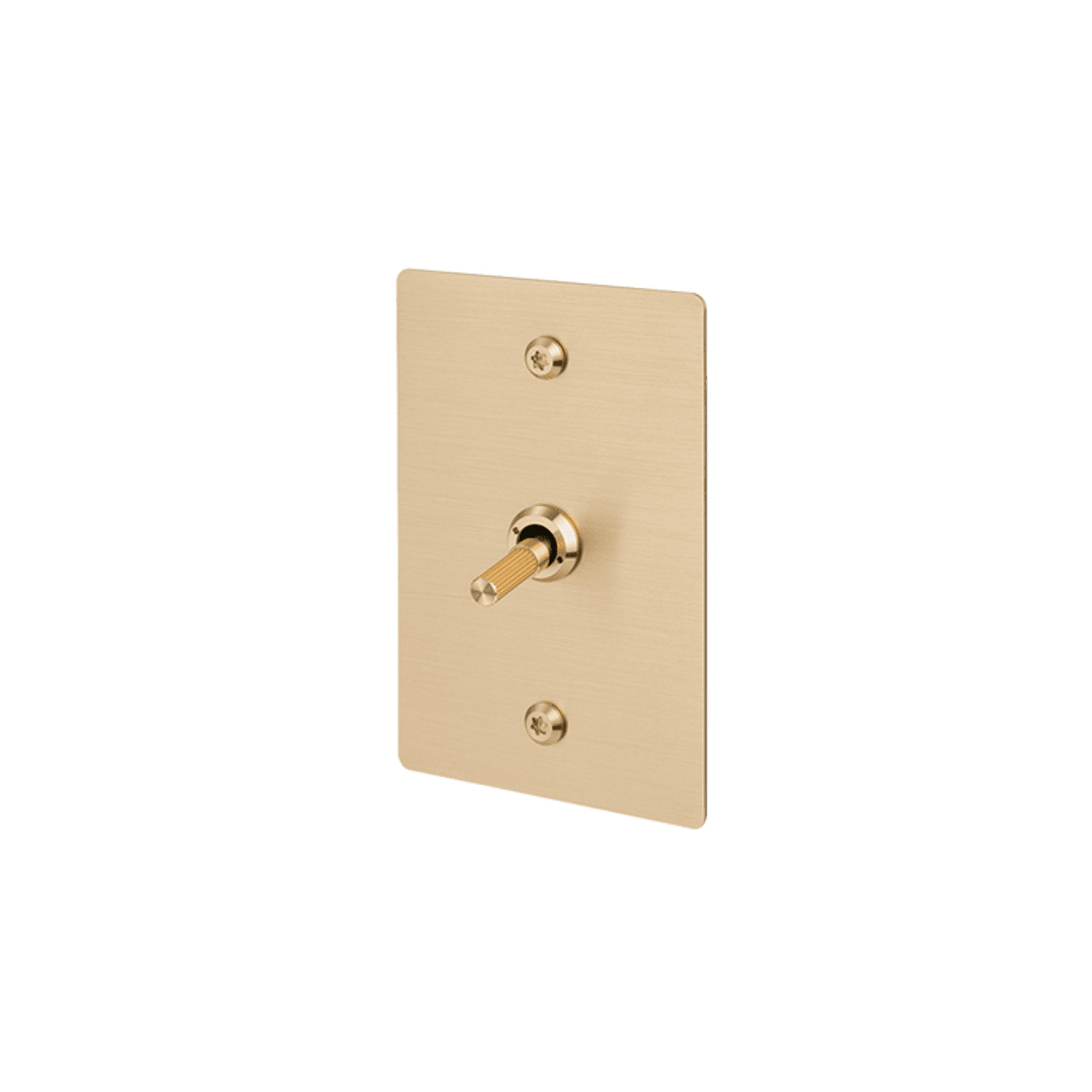Buster + Punch 1G Toggle Vertical 2-Way Linear gallery detail image