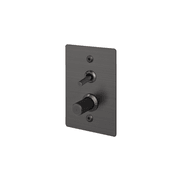 Buster + Punch 2G Toggle+Dimmer Vertical Linear gallery detail image
