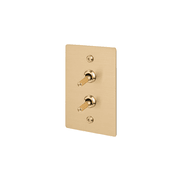 Buster + Punch 2G Toggle Vertical 2-Way Linear gallery detail image