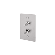Buster + Punch 2G Toggle Vertical 2-Way Linear gallery detail image
