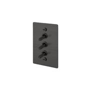 Buster + Punch 3G Toggle Vertical 2-Way Cross gallery detail image