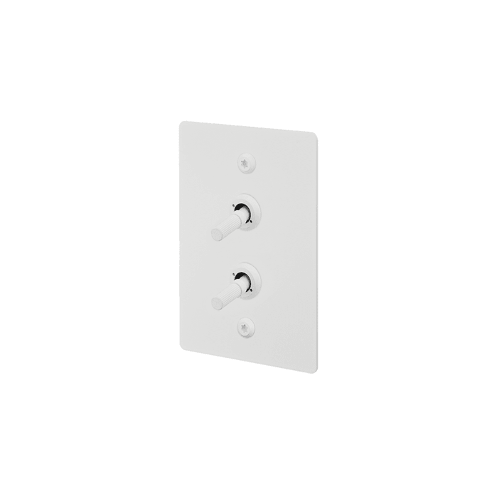 Buster + Punch 2G Toggle Vertical 2-Way Linear gallery detail image