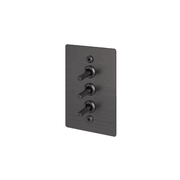 Buster + Punch 3G Toggle Vertical 2-Way Linear gallery detail image