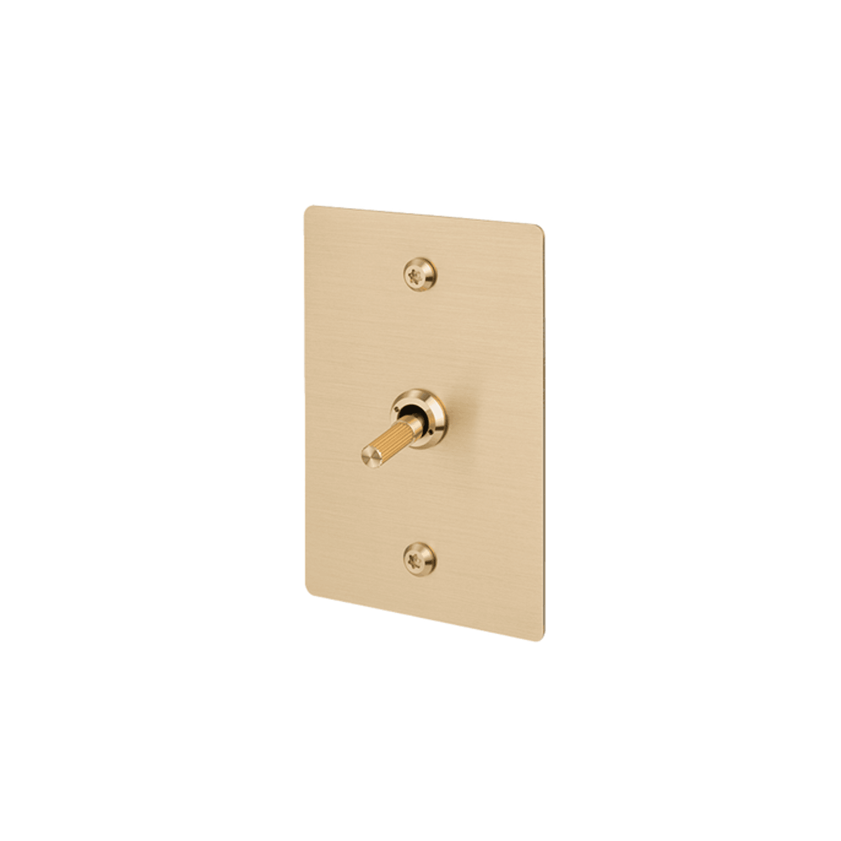 Buster + Punch 1G Toggle Vertical Retractive Linear gallery detail image