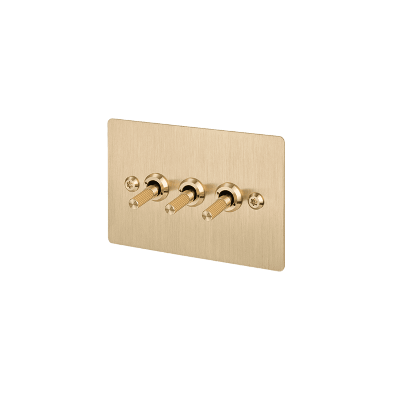 Buster + Punch 3G Toggle Horizontal 2-Way Linear gallery detail image