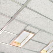 Mammoth™ Skillion Roof Insulation gallery detail image